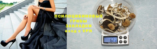 стаф Вязьма