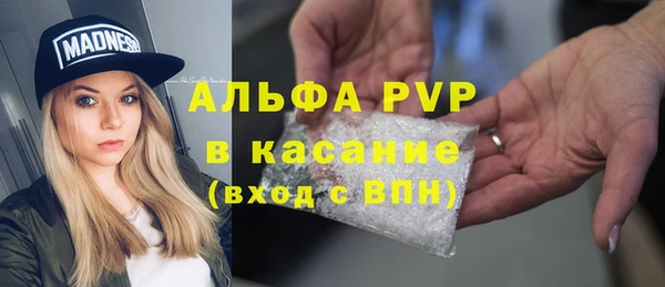 2c-b Горно-Алтайск