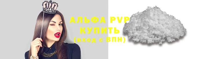 стаф Вязьма