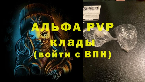 стаф Вязьма
