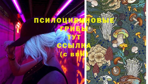 прущий лед Вяземский
