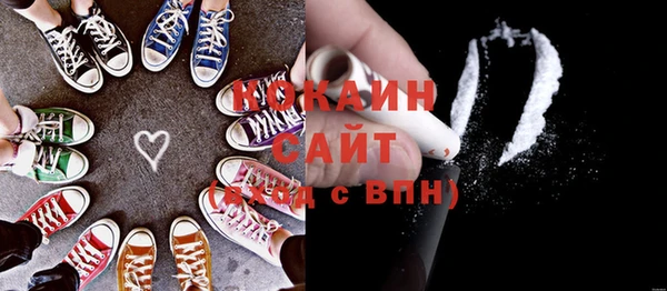 прущий лед Вяземский