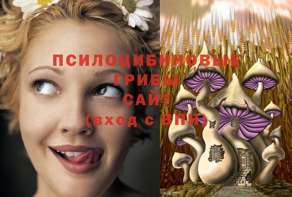 соль ск Вязники