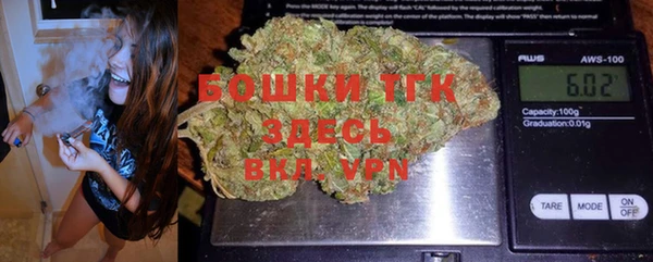 стаф Вязьма