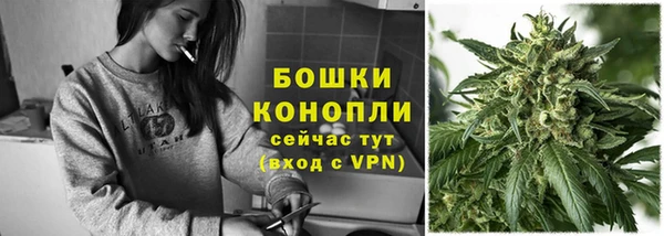 прущий лед Вяземский