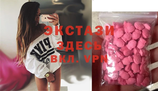 стаф Вязьма