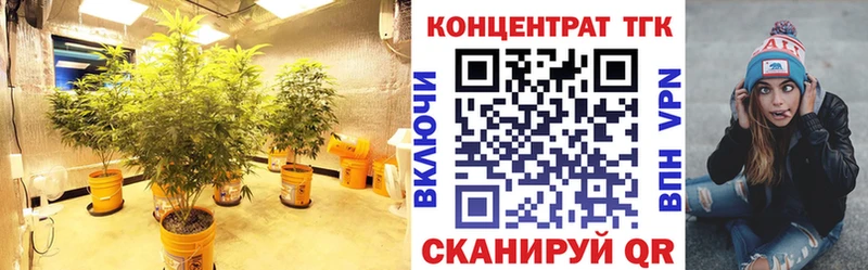 Дистиллят ТГК Wax  Зея 