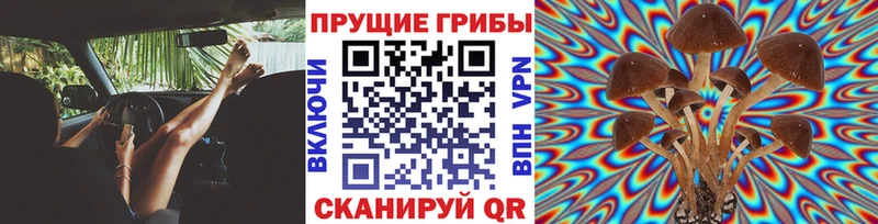 Галлюциногенные грибы мухоморы  Зея 